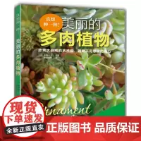 [出版社]真想种一种!美丽的多肉植物 图书 多肉 仙人掌 种