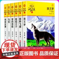 沈石溪动物小说品藏书系第二辑全6册 狼王梦10-11-12-14岁儿童故事读物四年级小学五六年级课外阅读雪豹悲歌斑羚飞渡