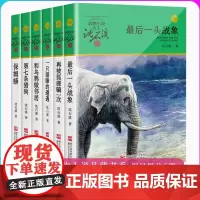 沈石溪动物小说品藏书系共6册 最后一头战象/第七条猎狗/保姆蟒/再被狐狸骗一次/和乌鸦做邻居/一只猎雕的遭遇 浙江少年儿