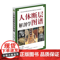 全新正版 人体断层解剖学图谱 刘树伟CT、MRI和断层解剖学习参考书 教程教材书籍 人体局部解剖学山东科学技术出版社