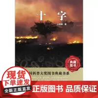 正版 十字 王晋康 中国科普大奖图书第五辑