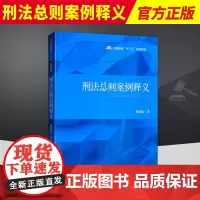 刑法总则案例释义(检察教育十三五规划教材) 中国检察出版社