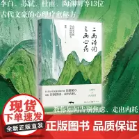 [正版]二两诗词,三两心药:古代文人的26张情绪处方 魏祎 著 古诗词人物传记历史人物人生励志心理励志古诗词李白李清照