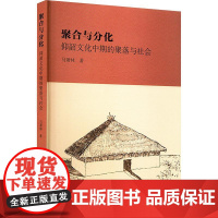 正版书 聚合与文化:仰韶文化中期德聚落与社会 马萧林 著 文物出版社