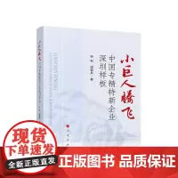 小巨人腾飞——中国专精特新企业深圳样板 孙利 段亚兵 著 人民出版社