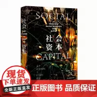 正版书 社会资本:关于社会结构与行动的理论 [美]林南 张磊著 社会科学文献出版社