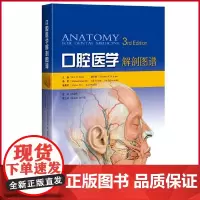 正版 口腔医学解剖图谱 Eric W Baker 主编 上海科学技术出版社 9787547857779