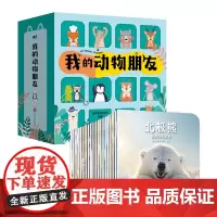 我的动物朋友(全25册)高清写真集儿童绘本3-6岁野生动物世界昆虫百科全书生命的故事婴幼儿园宝宝早教认知卡片启蒙图书[M