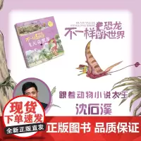 不一样的恐龙世界飞天奇翼龙fb沈石溪李花三吉著动物小说安徽少年儿童出版社