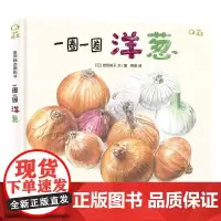 麦田精选图画书 一圈一圈 洋葱
