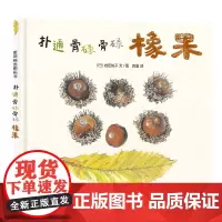 麦田精选图画书 扑通 骨碌骨碌 橡果