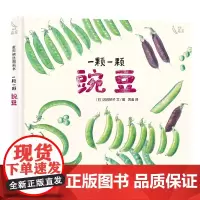 麦田精选图画书 一颗一颗 豌豆