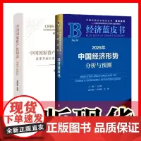 正版书[单套自选2册] 2025年中国经济形势分析与预测+中国国家资产负债表1978-2022 社科文献 中国社会科学出