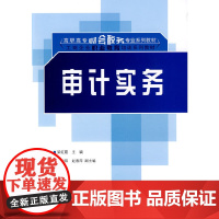 审计实务(高职高专财会税务专业系列教材·工商企业职业教育培训系列教材)