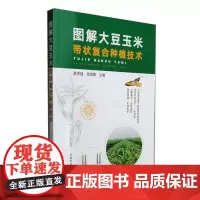 图解大豆玉米带状复合种植技术 大豆玉米带状复合种植技术及发展 与传统间作套种技术区别 大豆玉米带状复合种植技术推广应用情