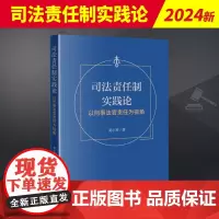 司法责任制实践论 以刑事法官责任为视角 法律出版社