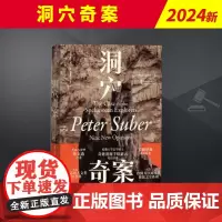 洞穴奇案 九州出版社
