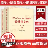 2023新书 最高人民法院 最高人民检察院指导性案例 第七版7版 上下册 法院第1批至第37批 检察院第1批至第41批