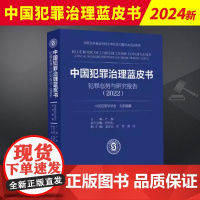 中国犯罪治理蓝皮书——犯罪态势与研究报告(2022) 上海人民出版社