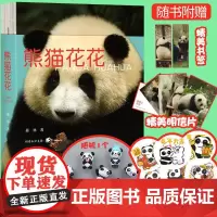 [赠熊猫冰箱贴+贴纸+书签+明信片]熊猫花花蒋林著记录大熊猫800万年历史熊猫简史图文并茂励志故事附科普知识问答四川人民