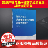 知识产权与贵州省数字经济发展战略协同研究 知识产权出版社