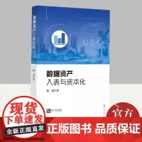 数据资产入表与资本化 知识产权出版社