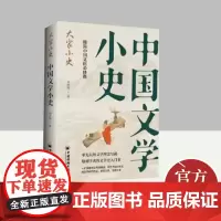 中国文学小史 中国经济出版社