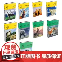 沈石溪动物小说共10册
