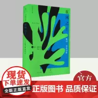 在风之上 上海人民出版社