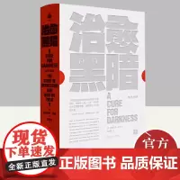 治愈黑暗 上海文艺出版社
