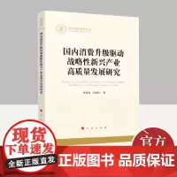 国内消费升级驱动战略性新兴产业高质量发展研究 人民出版社