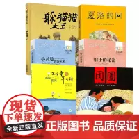 躲猫猫大王共6册