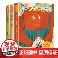 快乐读书吧六年级上册(套装3册)童年 爱的教育 小英雄雨来