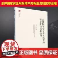 上海检察文库--总体国家安全观视域中的新型洗钱犯罪治理 中国检察出版社