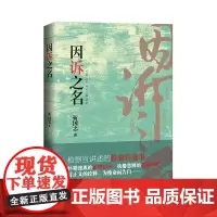 因诉之名 靳国忠 检察题材的现实主义小说 描绘出司法责任制改革背景下的检察官职场业态 公诉风云 检察官维护公平正义和法制