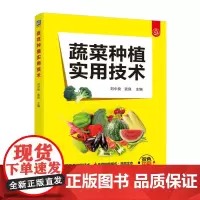 蔬菜种植实用技术 蔬菜种植技术模式 产量和效益同步提高 品种选择 肥水管理 病虫害防治基础技术 蔬菜种植户提供致富新思路