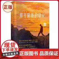 正版 那不勒斯的萤火:典藏版 马西米利亚诺·威尔吉利奥 著 百花文艺出版社 9787530685396