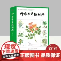 神农本草经图典 青岛出版社
