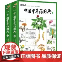 中国中草药图典 青岛出版社