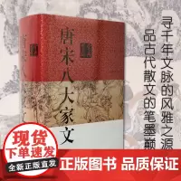 正版 (微瑕疵)唐宋八大家文鉴赏辞典 吴小林,吴小林 著 上海辞书出版社 9787532655007