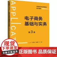 电子商务基础与实务 第3版于巧娥,文继权,王琪 编大学教材 wxfx