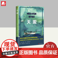 天眼(大卫·阿尔蒙德作品集) 人民文学出版社