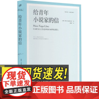 给青年小说家的信(略萨作品:精装珍藏版) 人民文学出版社