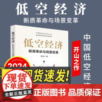 2024新书 低空经济新质革命与场景变革 朱克力 著 新质生产力 新华出版社9787516674574