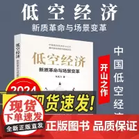 2024新书 低空经济新质革命与场景变革 朱克力 著 新质生产力 新华出版社9787516674574