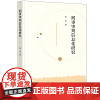 2024新 刑事审判信息化研究 秦汉 远程审判的特征 电子卷宗的现状与问题 智能裁判的认知原理