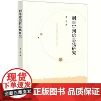 2024新 刑事审判信息化研究 秦汉 远程审判的特征 电子卷宗的现状与问题 智能裁判的认知原理