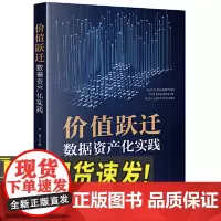 价值跃迁 数据资产化实践 法律出版社