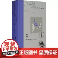 魔角 广西师范大学出版社