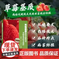 草莓基质栽培关键技术及病虫害综合防控 草莓种植生物技术应用指导书籍 草莓茎尖脱毒快繁技术草莓基质高架育苗技术草莓栽培指导